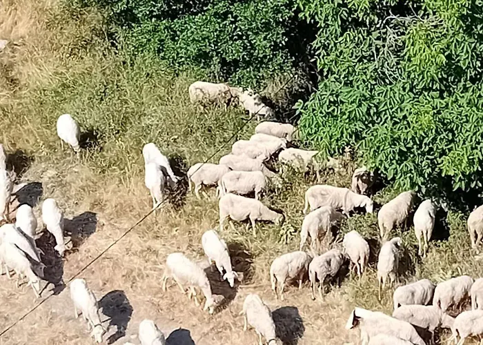 Mountainview Ski, & Thermal *