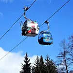 Mountainview *