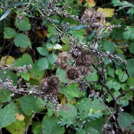 Mountainview Ski, & Thermal Μπάνσκο