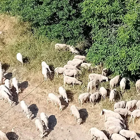 Mountainview Ski, & Thermal *