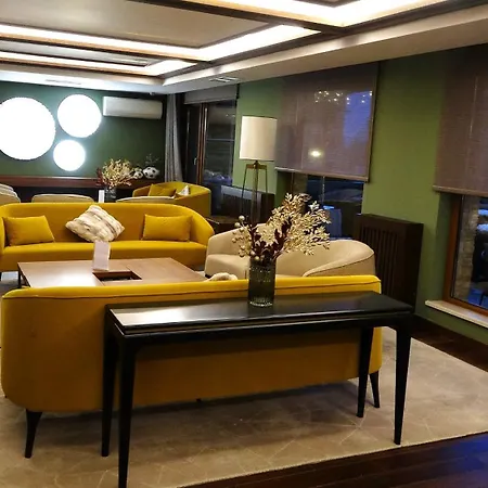 Mountainview Ski, & Thermal Μπάνσκο