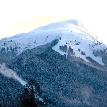 Mountainview Ski, & Thermal Apartment