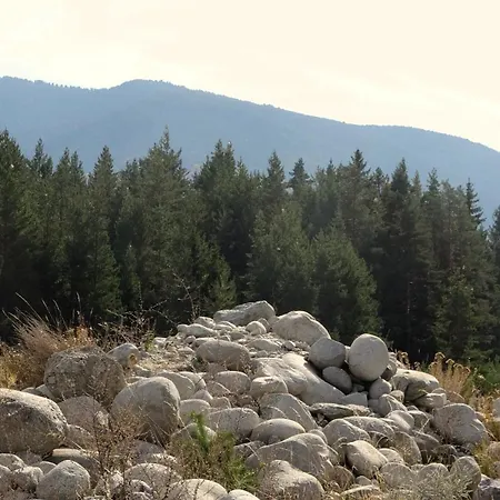 Mountainview Апартамент Банско