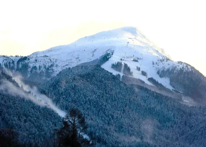 Mountainview Ski, & Thermal Apartman